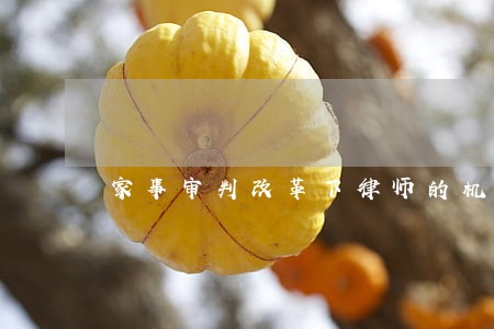 家事审判改革下律师的机遇与应对 家事审判改革下律师的机遇与应对