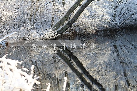 家事律师琦琦子 家事律师琦琦子