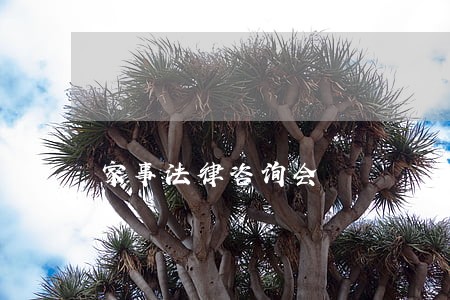 家事法律咨询会 家事法律咨询会