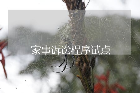 家事诉讼程序试点
