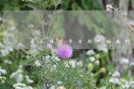 家人信用卡逾期影响银行政审吗