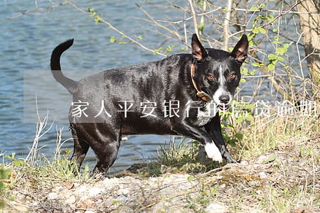 家人平安银行的信贷逾期