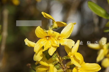 家人用了信用卡逾期还款后果 家人用了信用卡逾期还款后果