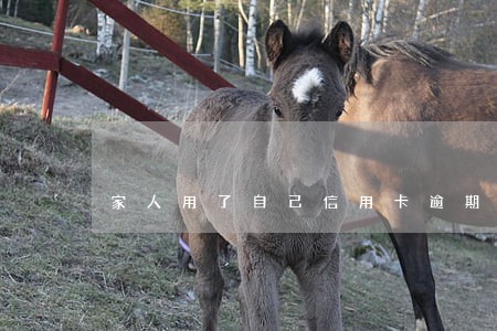 家人用了自己信用卡逾期 家人用了自己信用卡逾期