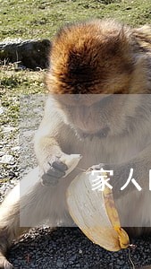 家人网贷逾期接到催收电话 家人网贷逾期接到催收电话