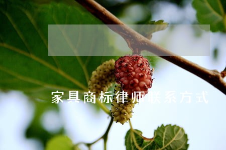 家具商标律师联系方式 家具商标律师联系方式