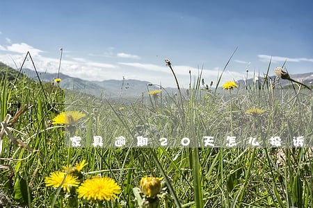 家具逾期20天怎么投诉 家具逾期20天怎么投诉