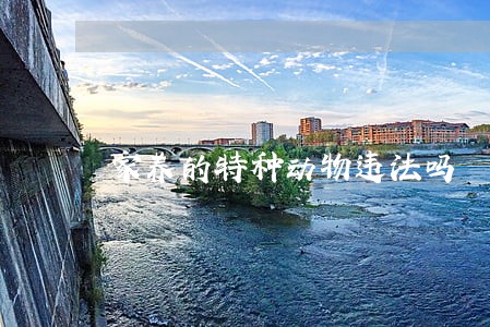 家养的特种动物违法吗 家养的特种动物违法吗