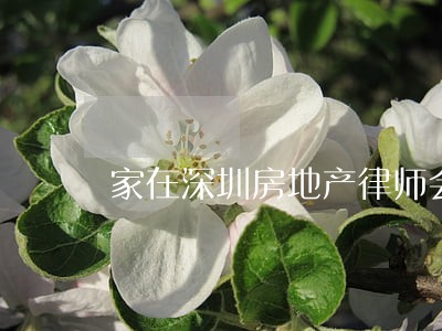 家在深圳房地产律师会议 家在深圳房地产律师会议