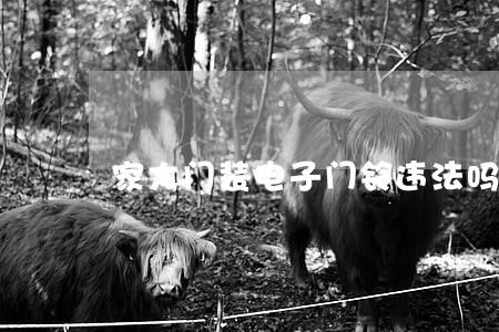 家大门装电子门铃违法吗 家大门装电子门铃违法吗