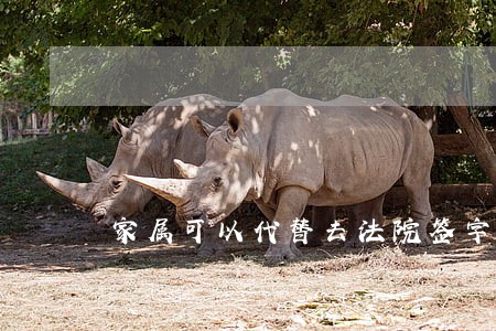 家属可以代替去法院签字嘛 家属可以代替去法院签字嘛