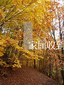 家属收到信用卡严重逾期信息 家属收到信用卡严重逾期信息