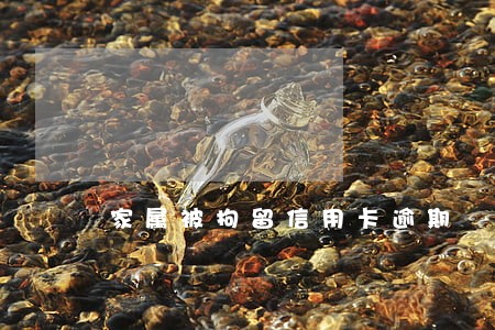 家属被拘留信用卡逾期