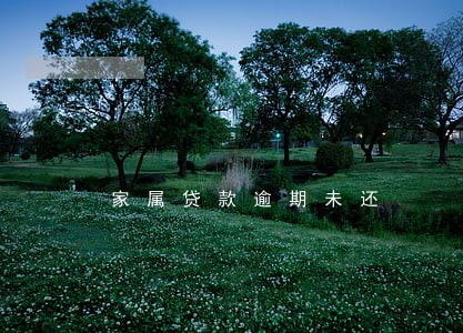 家属贷款逾期未还 家属贷款逾期未还