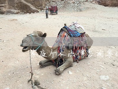 家庭个人法律咨询案件处理中心