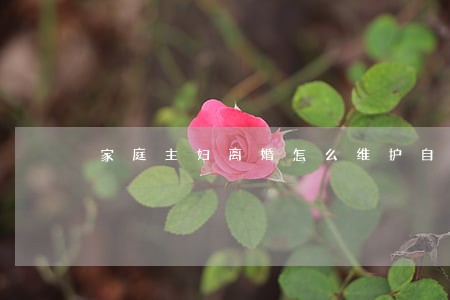 家庭主妇离婚怎么维护自己的权益