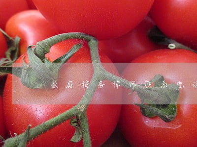 家庭债务律师联系电话 家庭债务律师联系电话