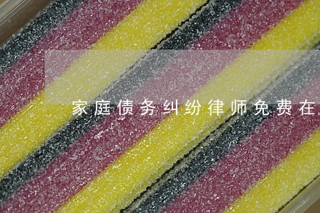 家庭债务纠纷律师免费在线咨询