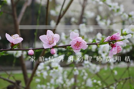 家庭债务纠纷律师费用情况 家庭债务纠纷律师费用情况