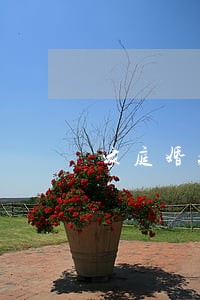家庭婚姻律师律师事务所排名 家庭婚姻律师律师事务所排名