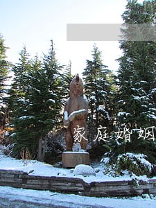 家庭婚姻律师的服务 家庭婚姻律师的服务