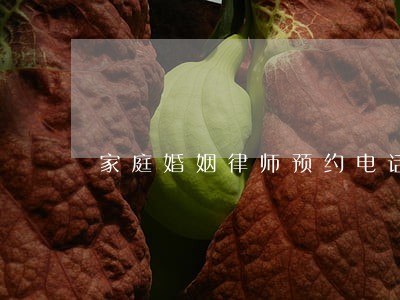 家庭婚姻律师预约电话 家庭婚姻律师预约电话