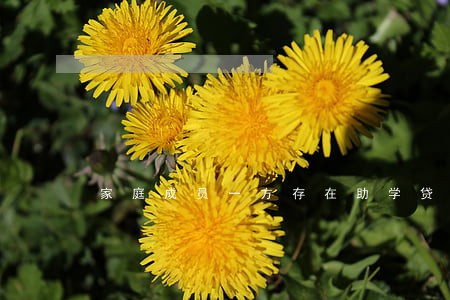 家庭成员一方存在助学贷款逾期 家庭成员一方存在助学贷款逾期