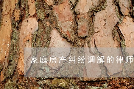 家庭房产纠纷调解的律师 家庭房产纠纷调解的律师