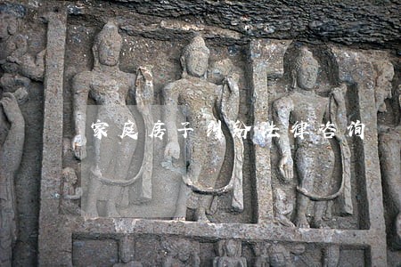 家庭房子纠纷法律咨询 家庭房子纠纷法律咨询