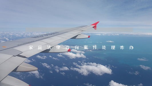 家庭法律咨询案件处理咋办 家庭法律咨询案件处理咋办