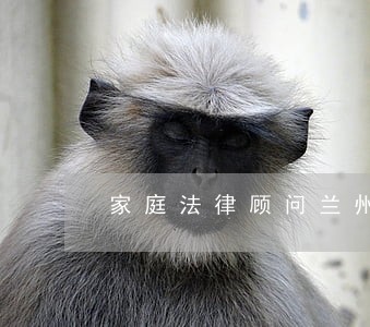 家庭法律顾问兰州市 家庭法律顾问兰州市