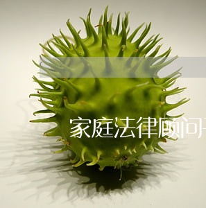 家庭法律顾问干什么 家庭法律顾问干什么