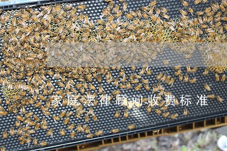 家庭法律顾问收费标准 家庭法律顾问收费标准
