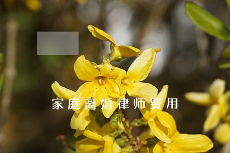 家庭离婚律师费用 家庭离婚律师费用