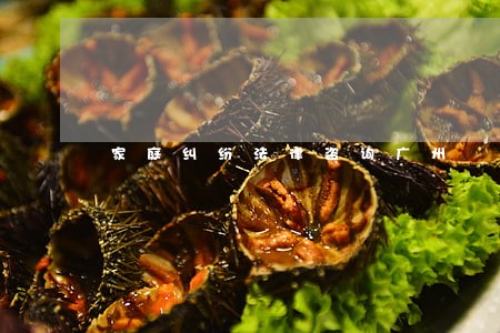 家庭纠纷法律咨询广州 家庭纠纷法律咨询广州