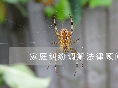 家庭纠纷调解法律顾问 家庭纠纷调解法律顾问