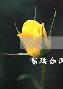 家政合同司法备案 家政合同司法备案