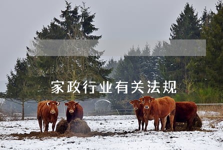 家政行业有关法规 家政行业有关法规