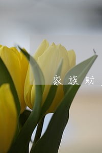家族财产律师排名 家族财产律师排名
