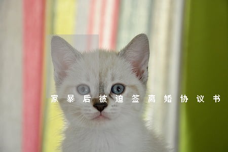 家暴后被迫签离婚协议书 家暴后被迫签离婚协议书