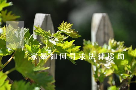 家暴如何寻求法律援助 家暴如何寻求法律援助