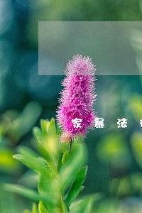 家暴法律援助金额 家暴法律援助金额