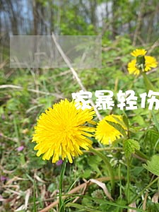 家暴轻伤怎么离婚 家暴轻伤怎么离婚
