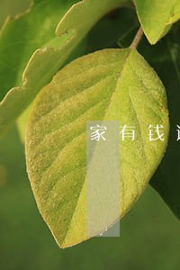 家有钱逾期200天 家有钱逾期200天