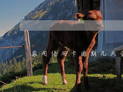 家用信用卡逾期几天会上征信么