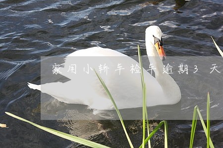 家用小轿车检车逾期3天罚款吗