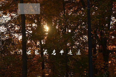 家装买名单违法