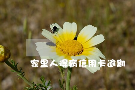 家里人得病信用卡逾期