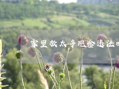 家里放太多现金违法吗