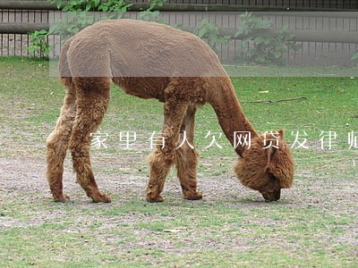 家里有人欠网贷发律师函 家里有人欠网贷发律师函